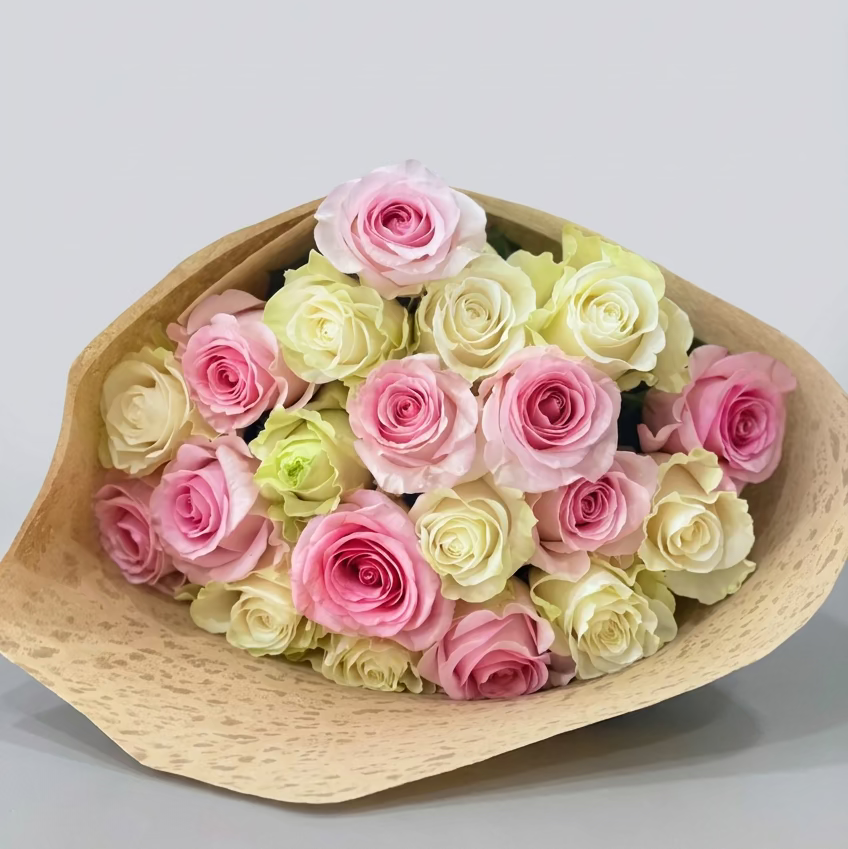 20 Pastel Roses