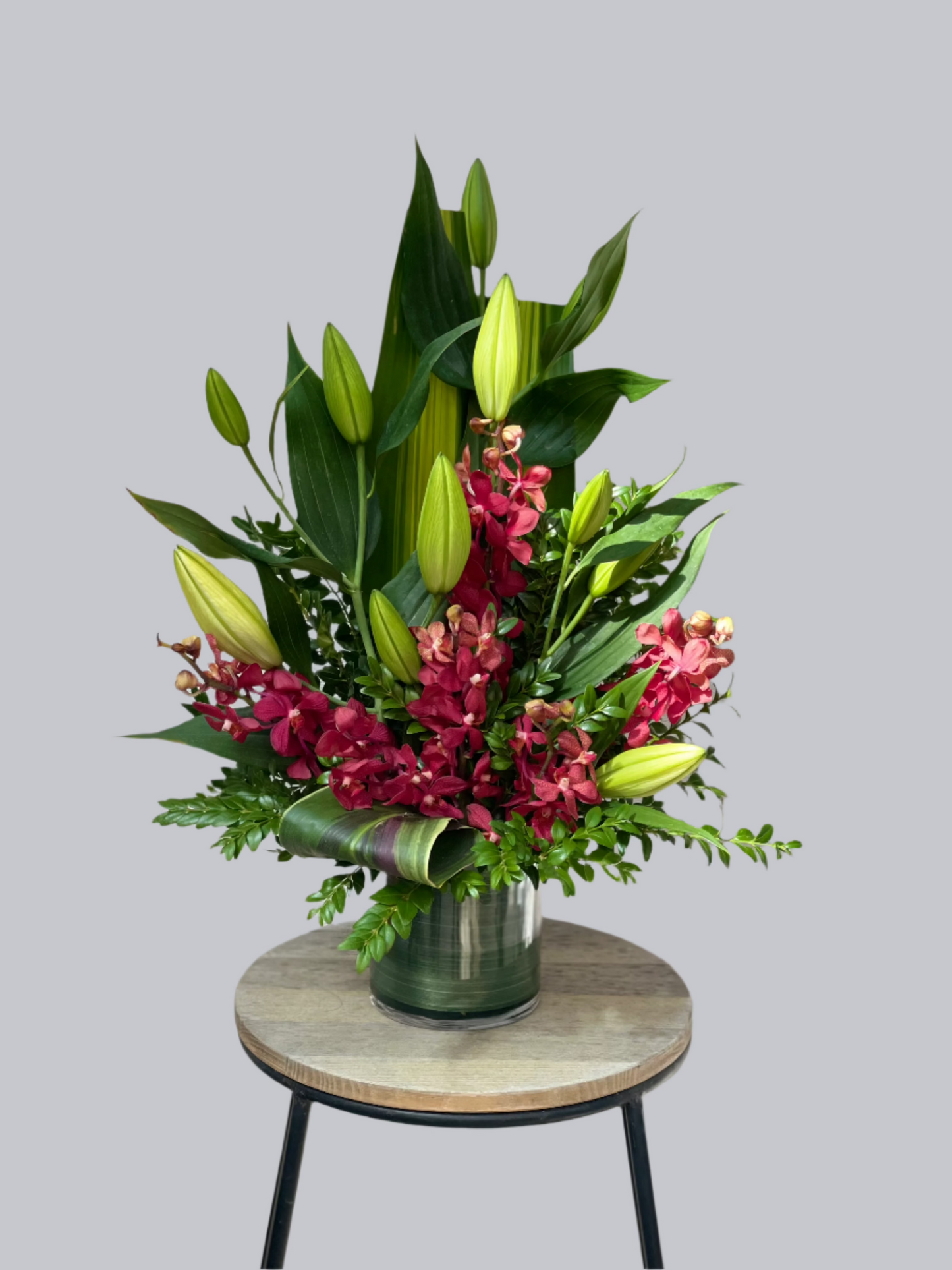 Tropical Orchids in Vase