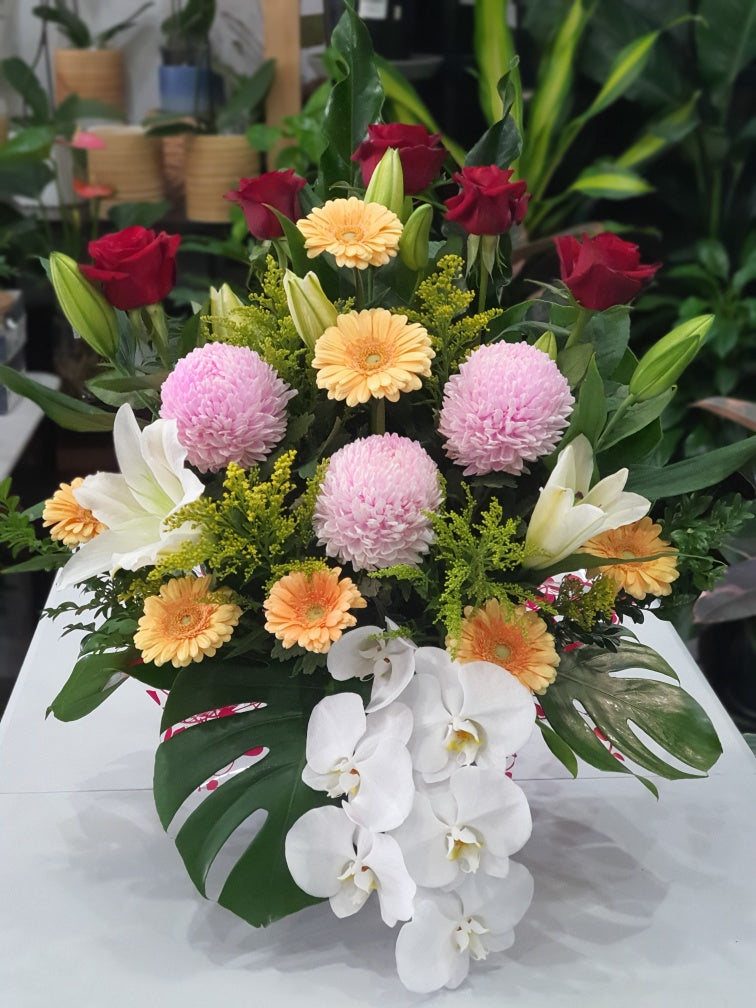 Best Wishes
