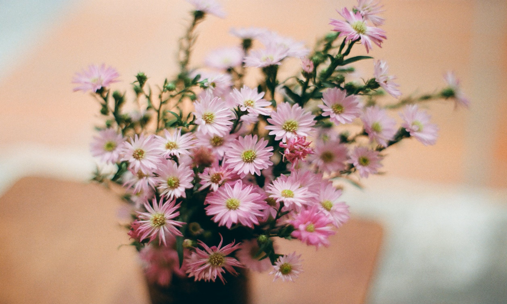 flower delivery