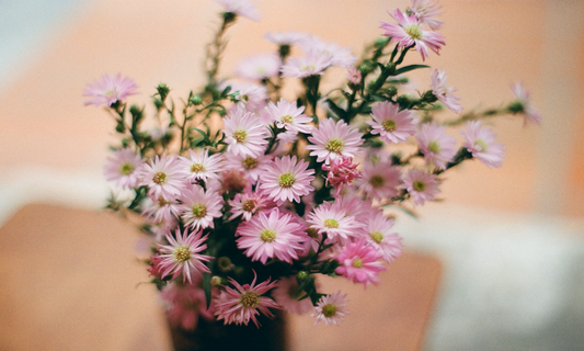 flower delivery