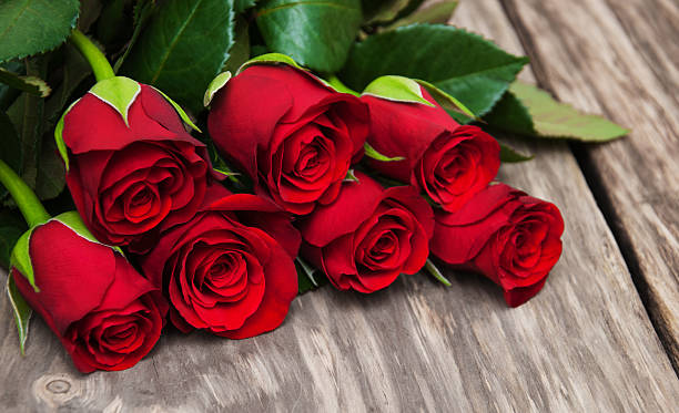 Blossoms of the Heart: Perfect Flowers for Valentine’s Day 2026