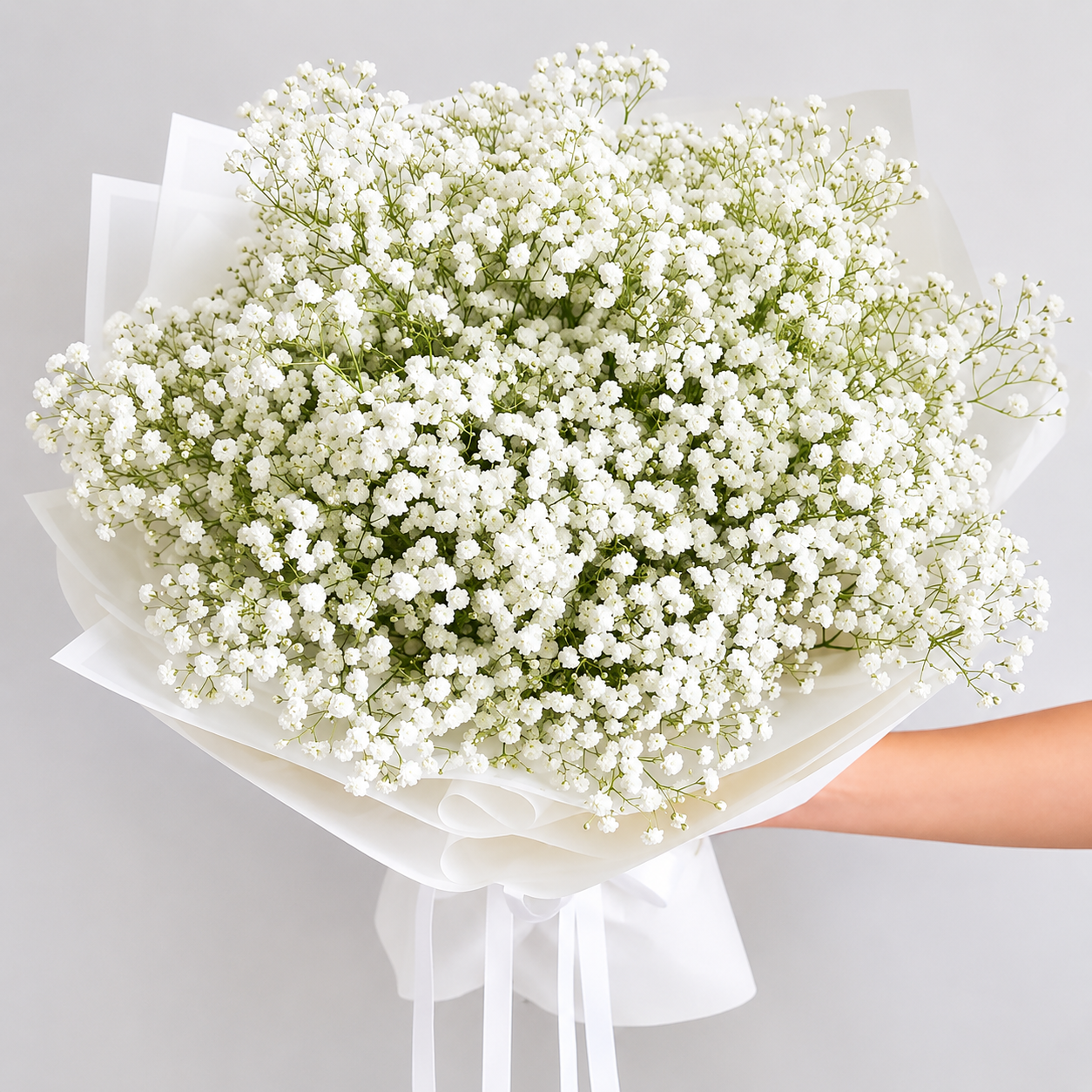 White Baby’s Breath