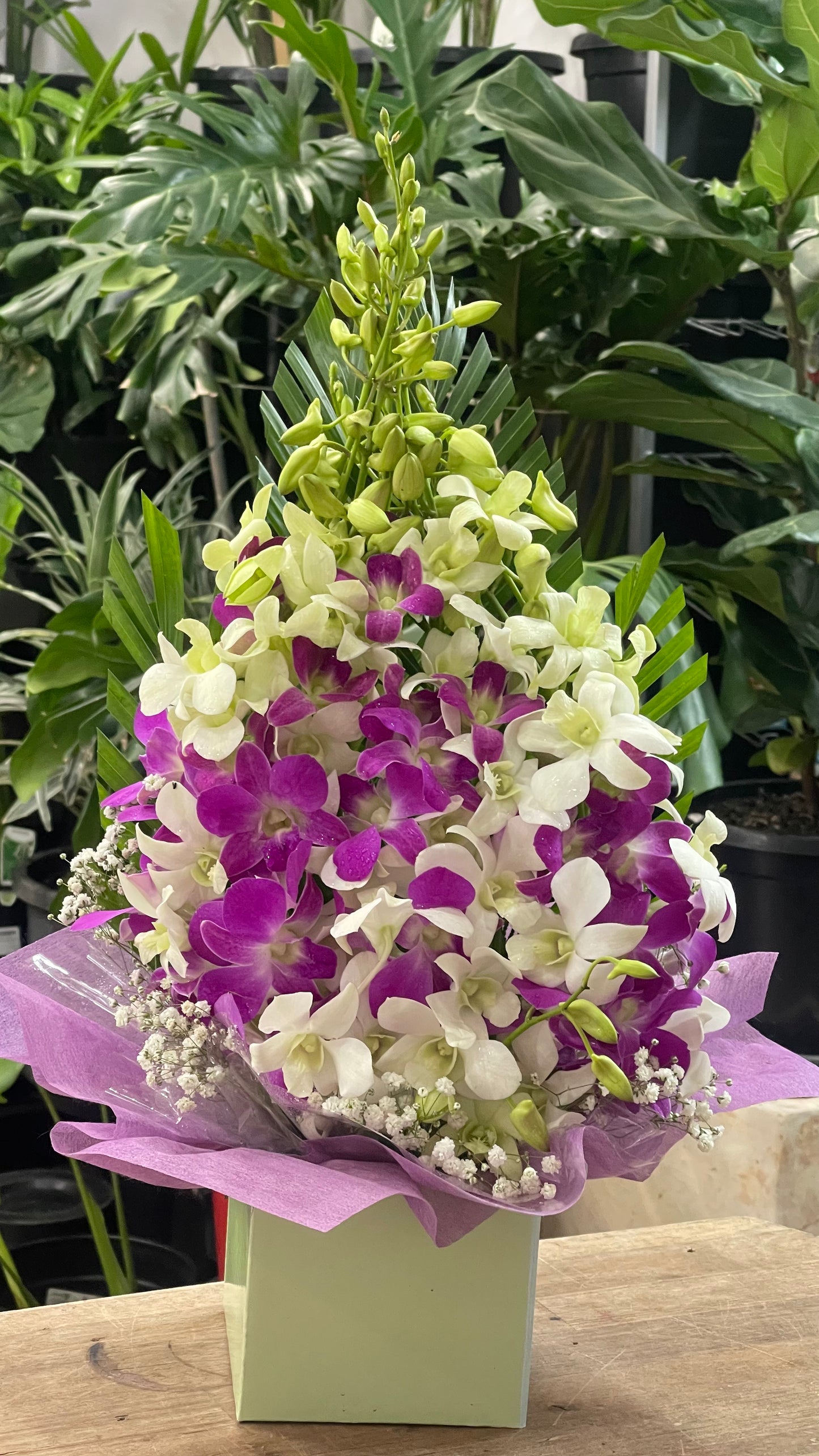 Purple & White Orchid Arrangement