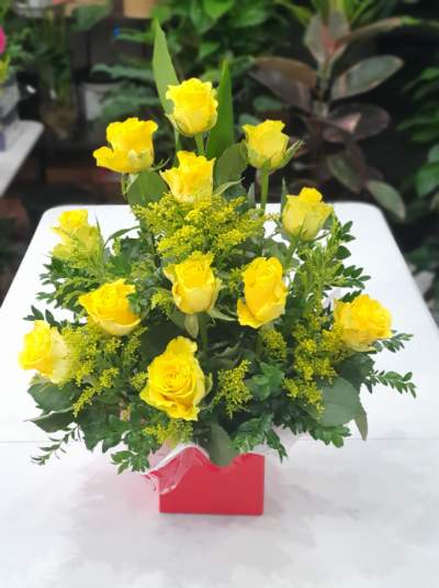 Dozen Yellow Roses in Box
