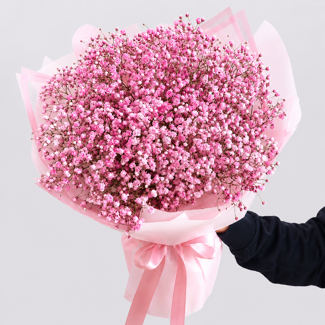 Pink Baby’s Breath