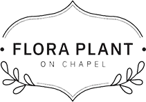 Flora Plant on Chapel