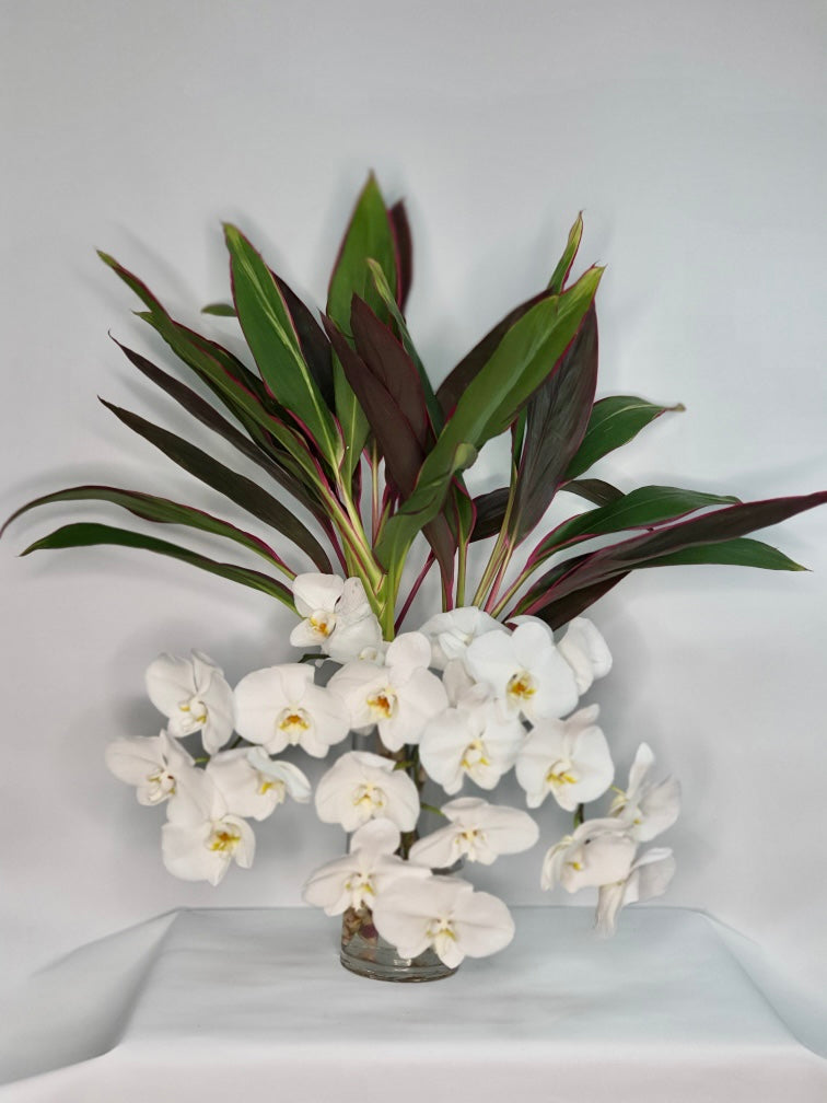 Phalaenopsis White Orchid with Vase